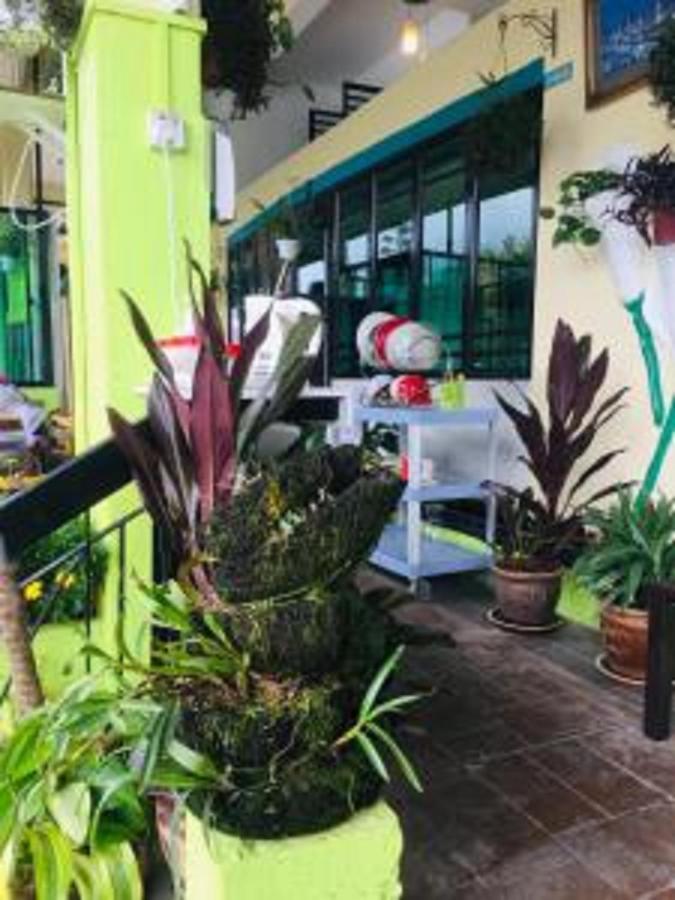 Oyo 90760 Lily Haven Hotel タナ・ラタ エクステリア 写真